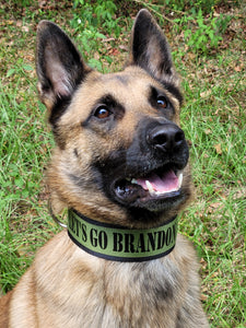 2" wide "LET'S GO BRANDON" Dog Collar