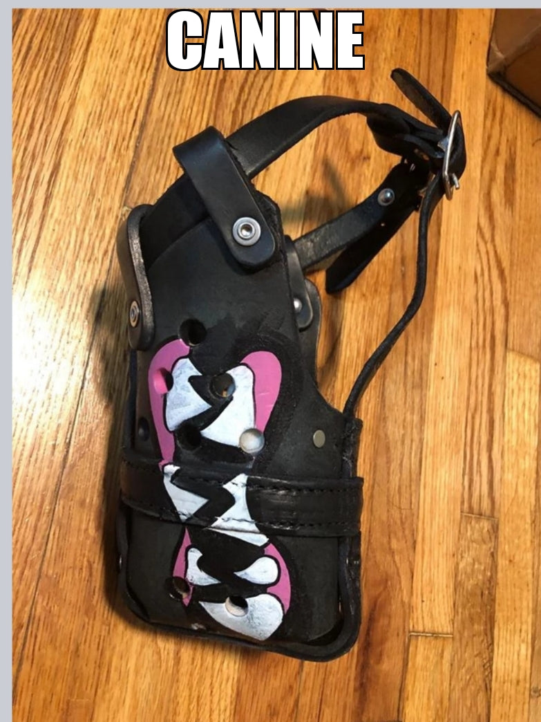 The Big Five Designs Hand Painted Muzzles