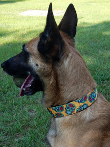 1.5" wide Rhino Sport Dog Collar