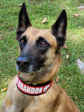 Load image into Gallery viewer, 2&quot; wide &quot;LET&#39;S GO BRANDON&quot; Dog Collar