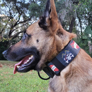 2" wide Rhino Sport Dog Collar