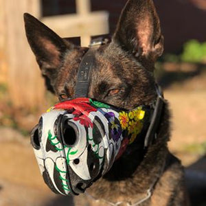 Custom Painted Muzzle