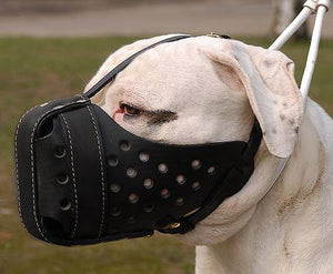 The "Fat Head" Muzzle