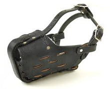 Load image into Gallery viewer, Leather Muzzles