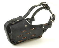 Leather Muzzles